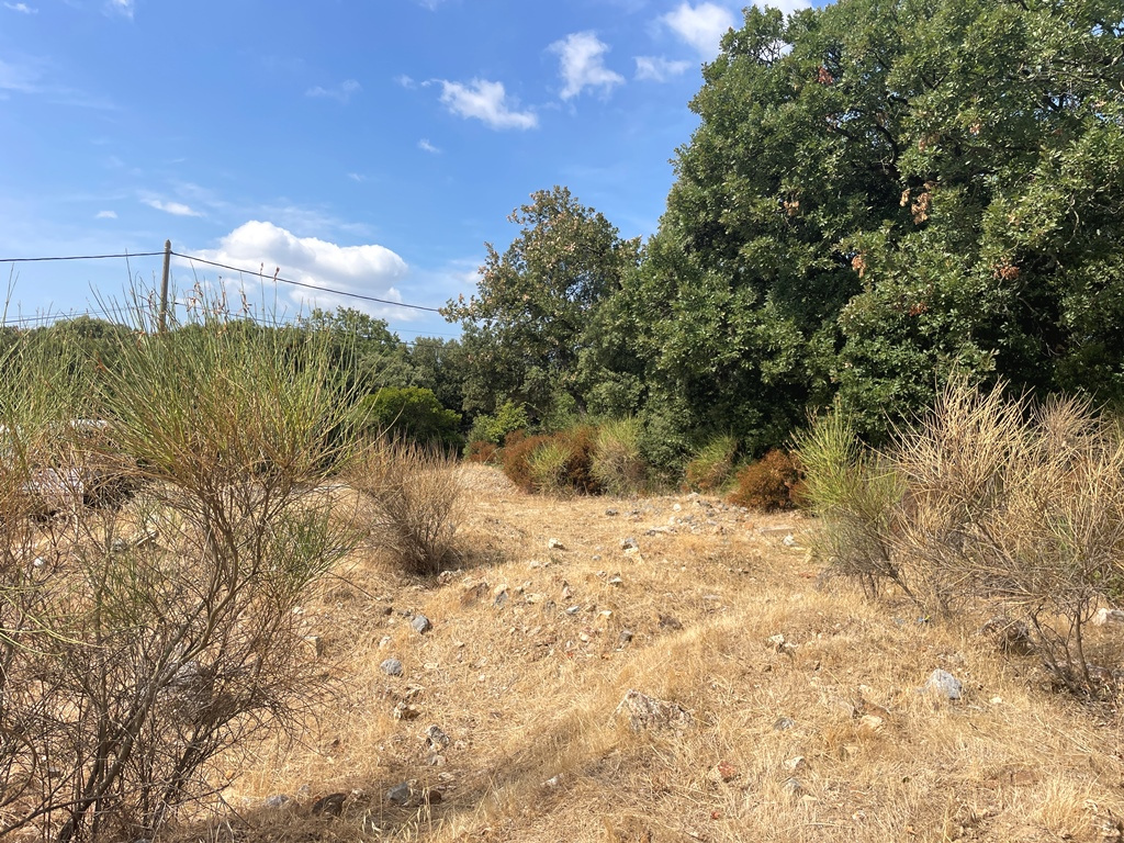 Terrain constructible à vendre à Roquessels, 1 130 m² – photo 1 sur 5